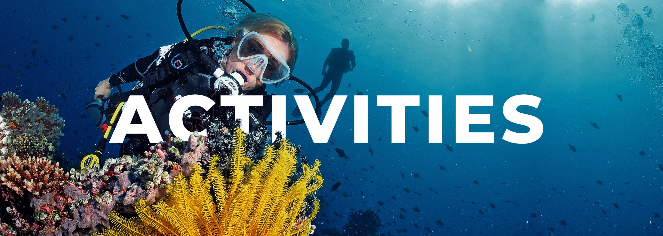 Get out and dive!