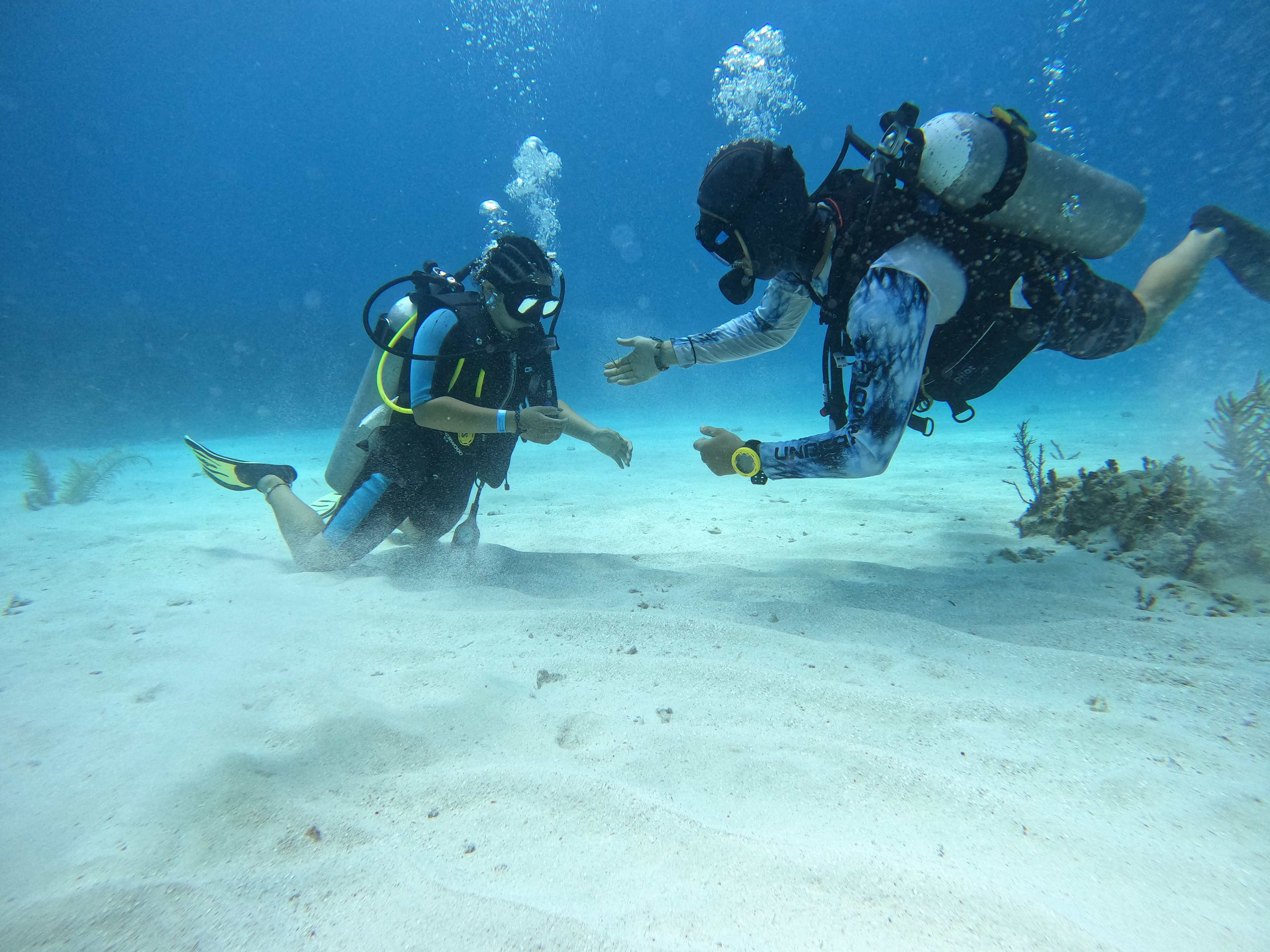 Conoce a los expertos en Buceo en Costa Maya, Quintana Roo