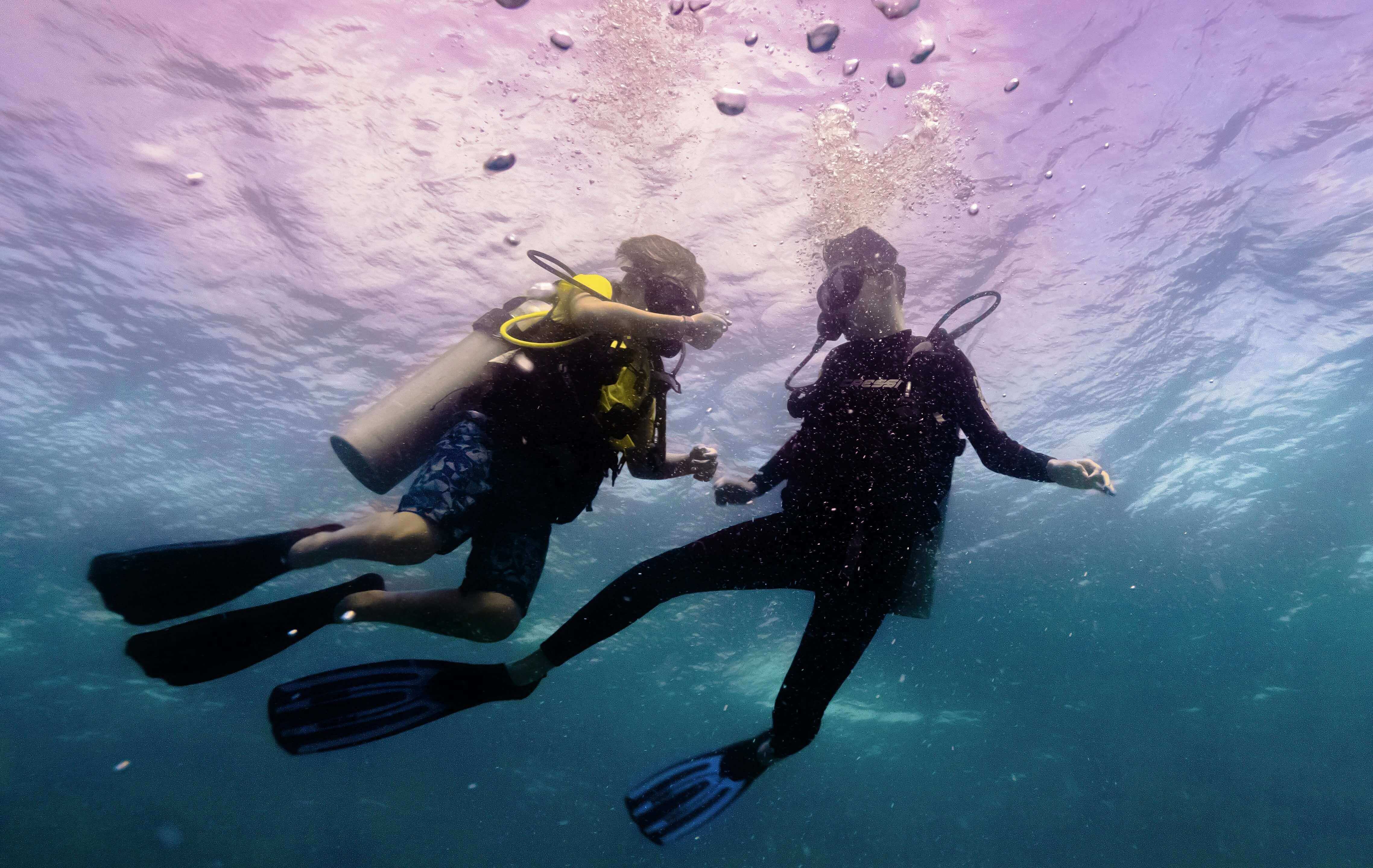 Dive teachers