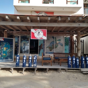 ¿Con quién bucear si estás en Costa Maya, Mahahual?