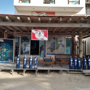 Who to dive with if you are in Costa Maya, Mahahual?