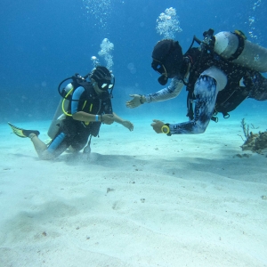 Meet the Diving Experts in Costa Maya, Quintana Roo