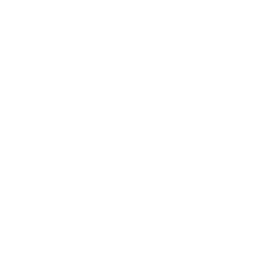 Doctor Dive logo